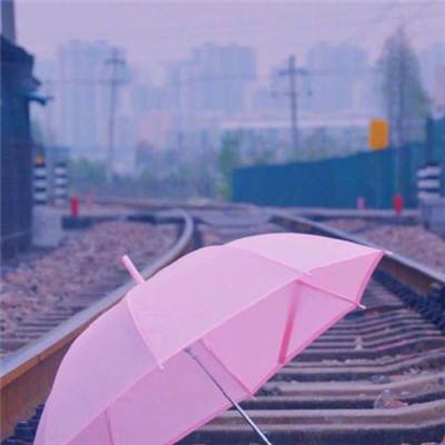 上海地铁公布暑期延运服务方案，这些线路加开