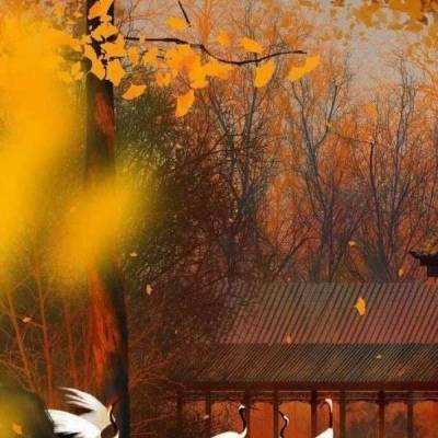 北京北京：传承长城文化，守护精神根脉